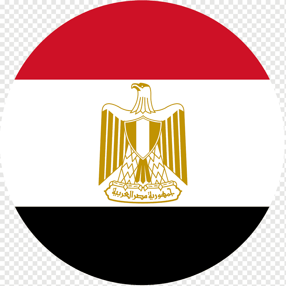 الشحن داخل مصر